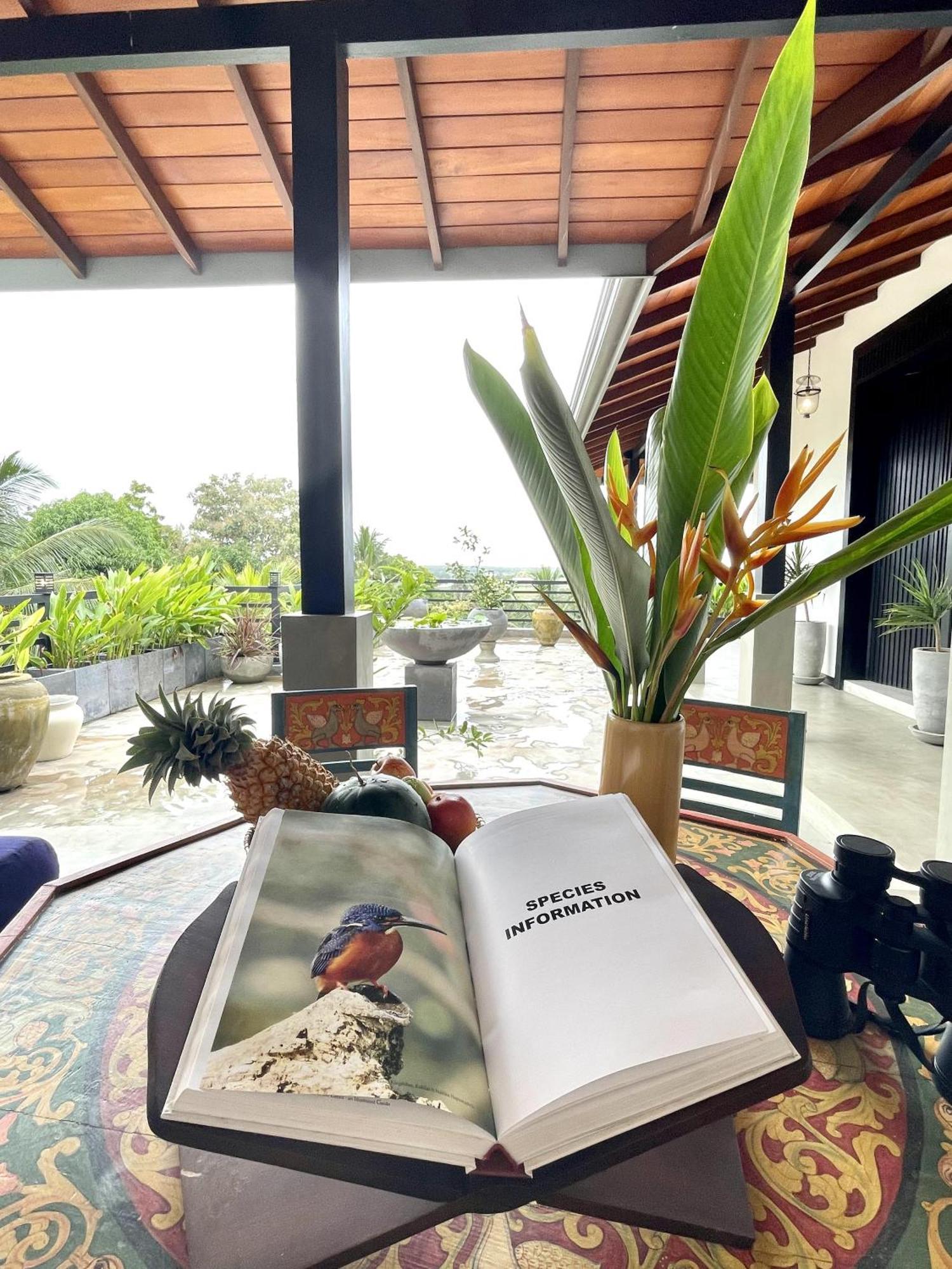 D' Art Villa Retreat And Spa Tangalle Eksteriør billede